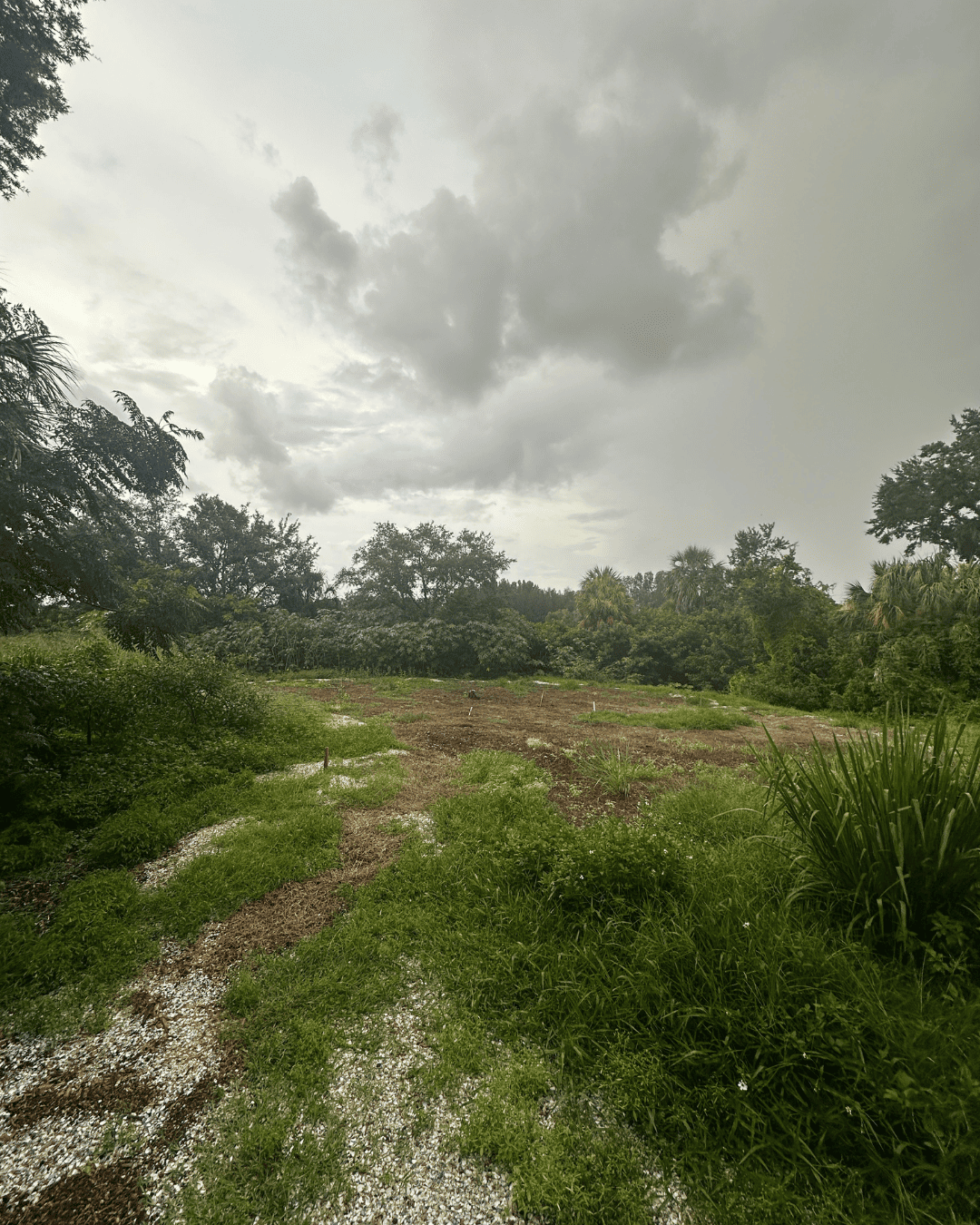 Private Pickleball Court
